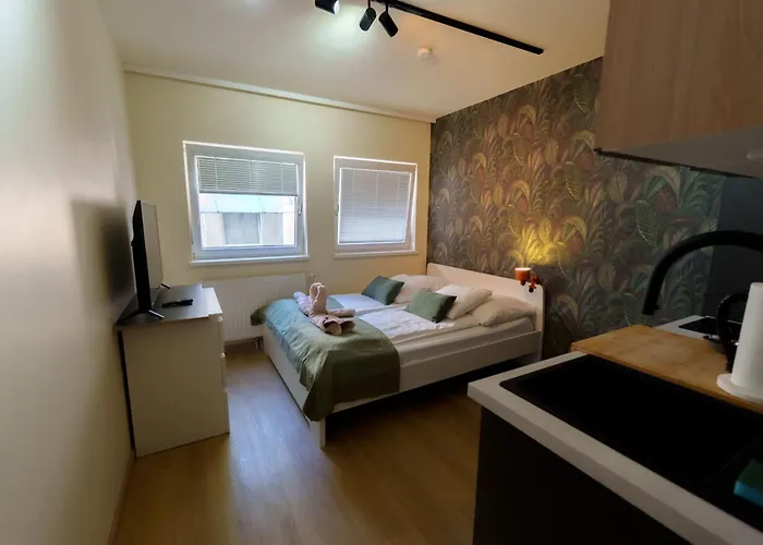 15 Min To Center I Free Private Parking Apartment Vienna